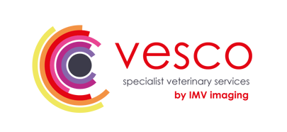 1 Logo with strapline_by imv (5)-1