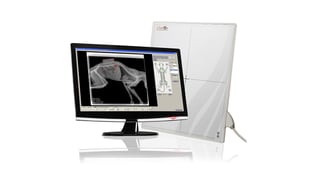 Clarox DR X-ray System-1
