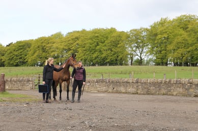 Equine Vet Owner and Horse