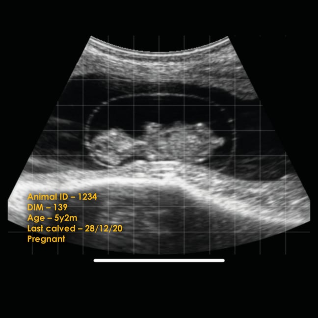 UltrasoundKPI_2
