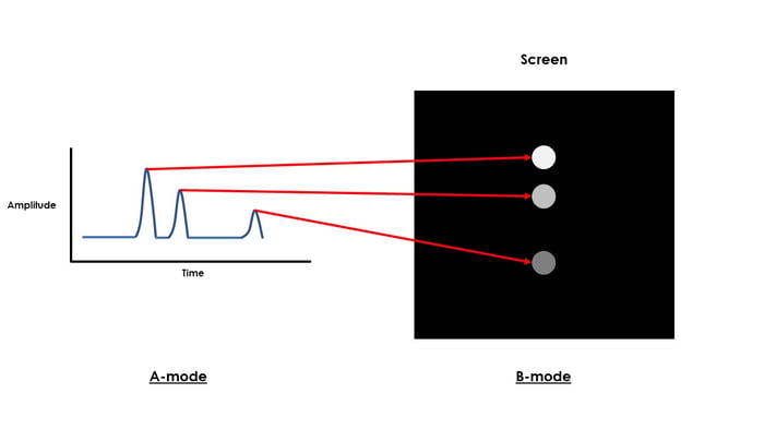 Image 2 (3)