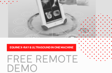 remotedemoslate-Sep-15-2020-11-09-07-77-AM