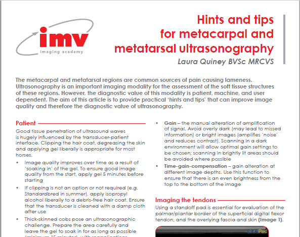 equine metacarpal and metatarsal