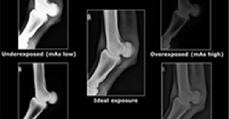 radiographic-exposure-settings-3