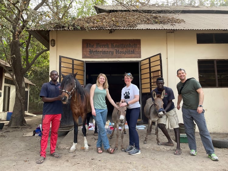 A group of people standing outside a building with a horse
Description automatically generated with medium confidence