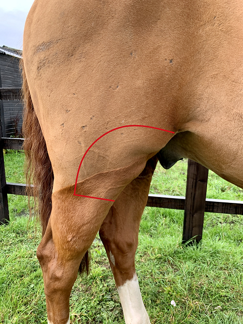 Clipped area