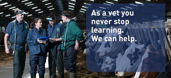 Bovine ultrasound