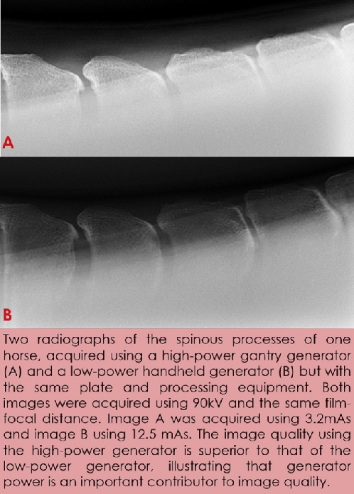 Radiographs
