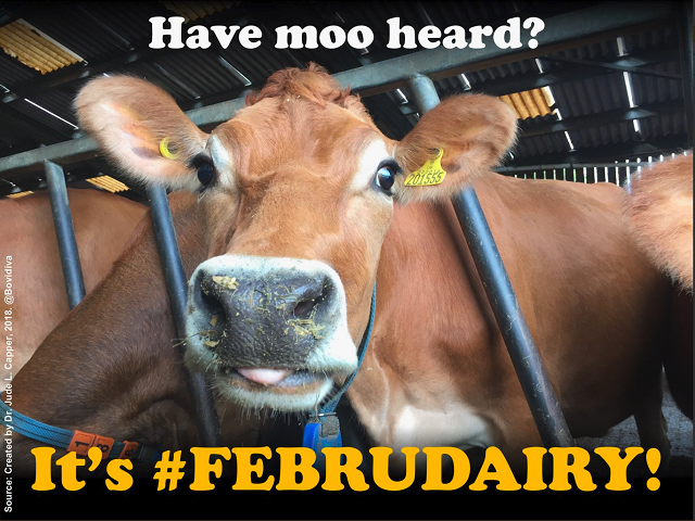 Februdairy