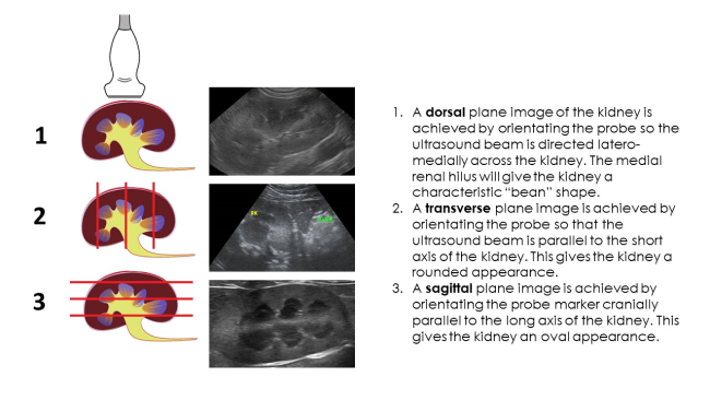 imaging ploanes