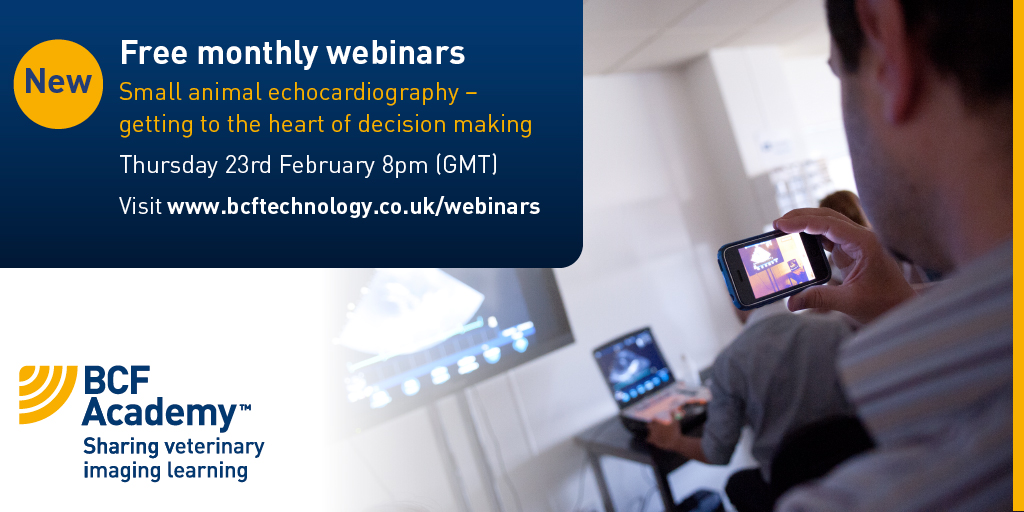 Free monthly webinars